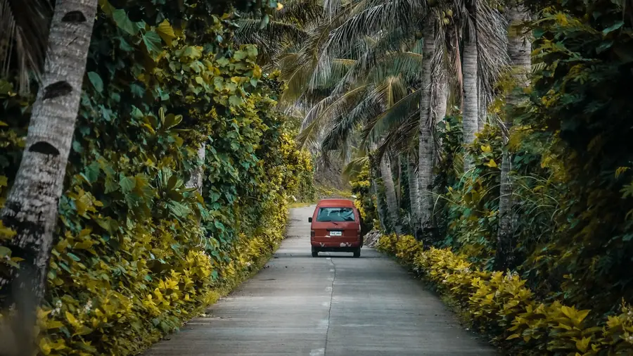Location de voiture