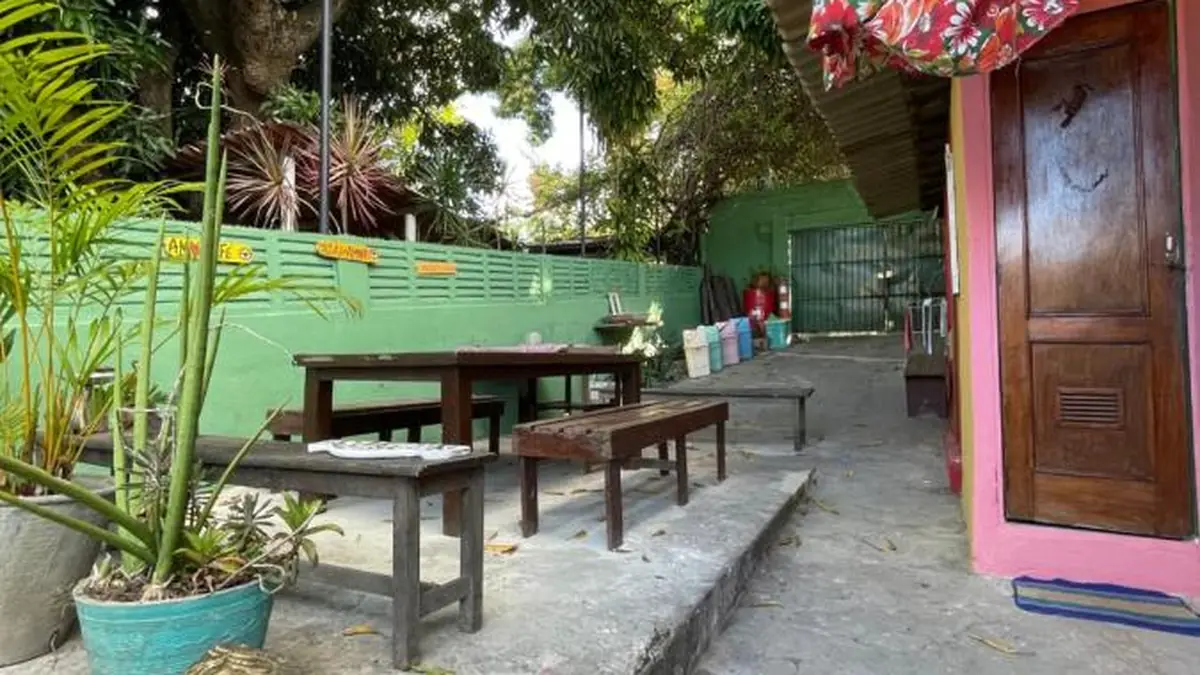 Le jardin de Hostel Canto dos Artistas, avec des tables sous le manguier